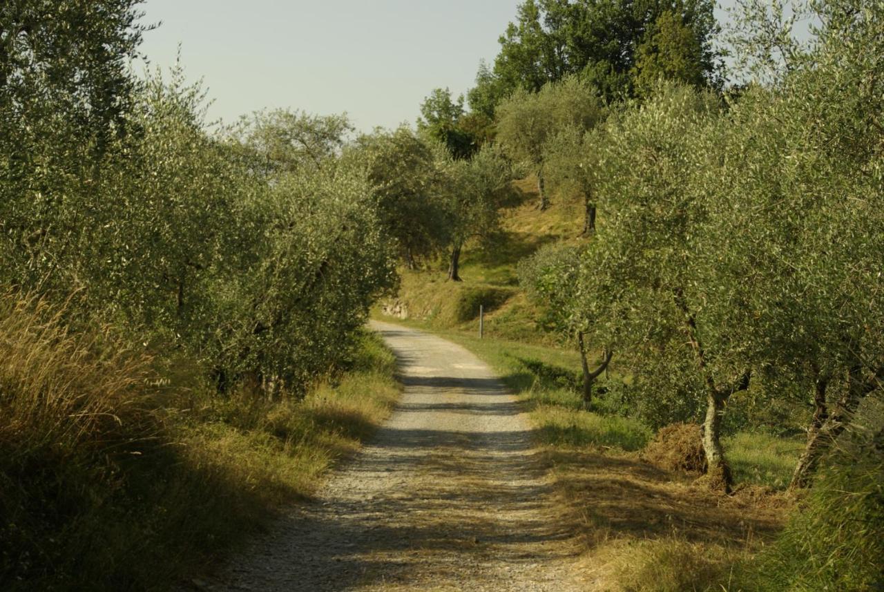 Aramo Verde Exterior foto